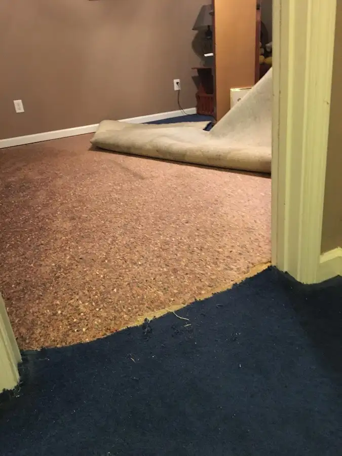 Carpet pad removal revealing water damage during Drying & Dehumidification in Edgewater Park