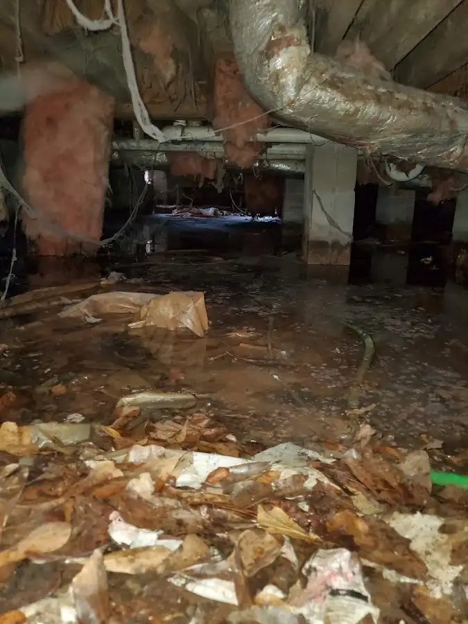 Crawl space flood assessment for Leak Detection & Repair in Edgewater Park