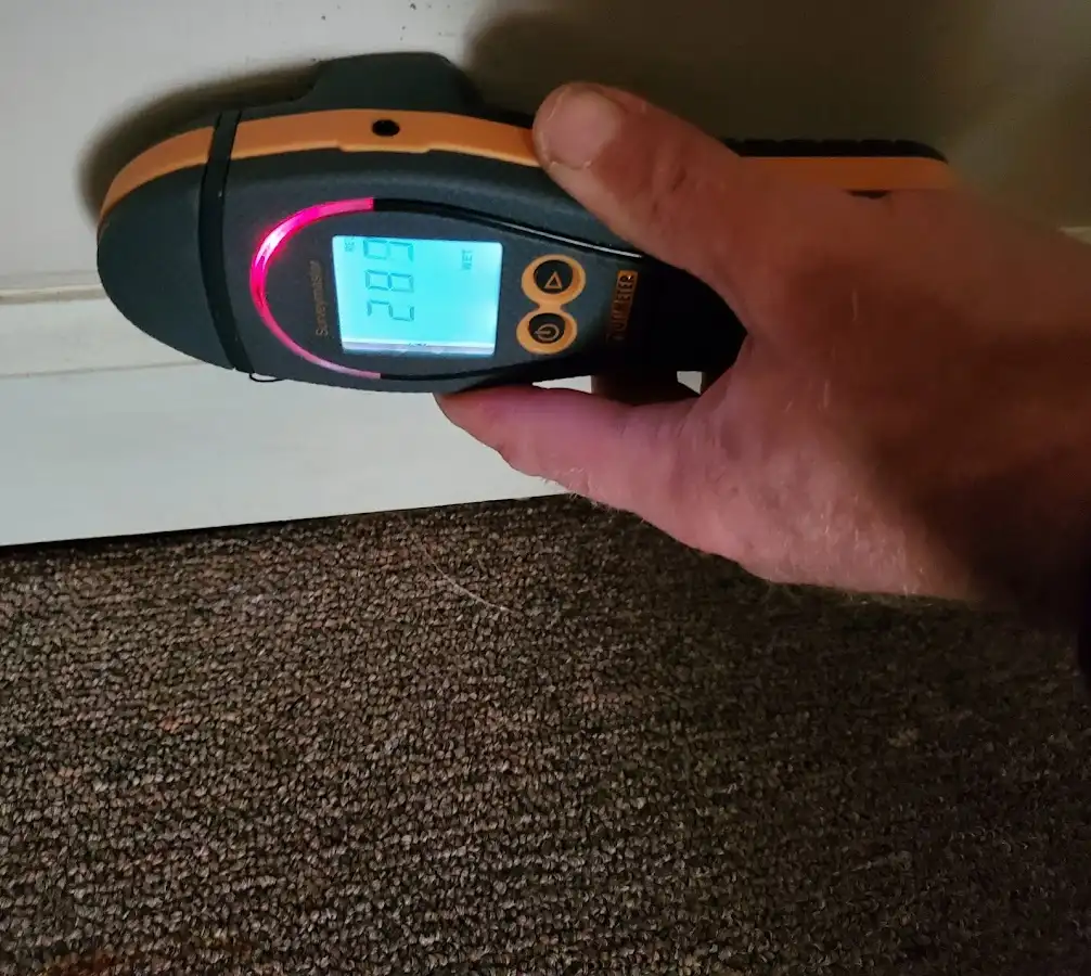 Moisture detection at baseboard during Sewage Cleanup & Sanitation in Edgewater Park